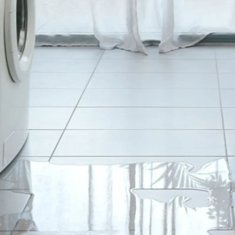 Appliance Leak Cleanup in Sandpoint, ID