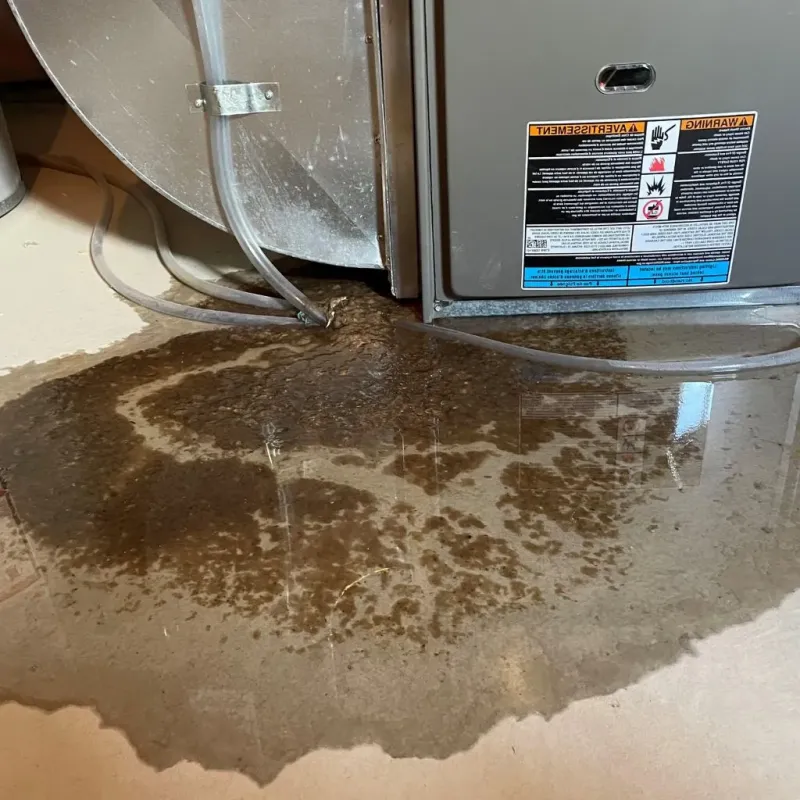 Pipe Burst and Leak Restoration in Sandpoint, ID